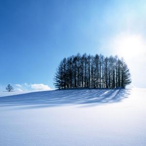 鸣人❌18禁视频网站
