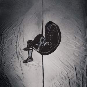 鸣人❌18禁视频网站
