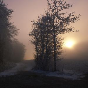 鸣人❌18禁视频网站
