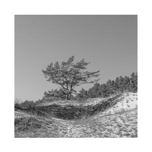 鸣人❌18禁视频网站
